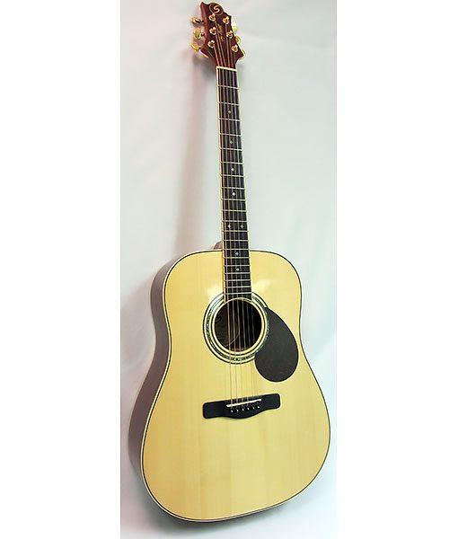 Greg Bennett D6-N with FirstGuitar Custom Setup and Adjustment